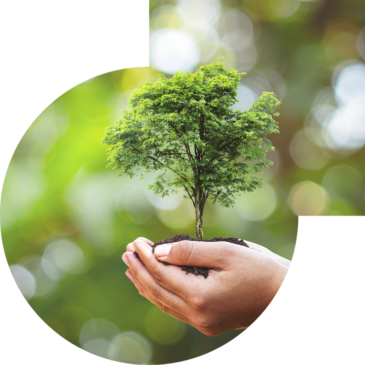 关怀人类、文化、环境与社会